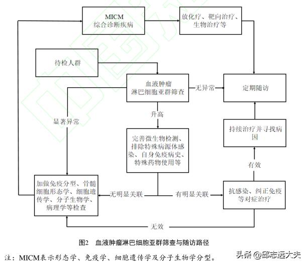 淋巴细胞亚群检测解读,淋巴细胞亚群专家共识
