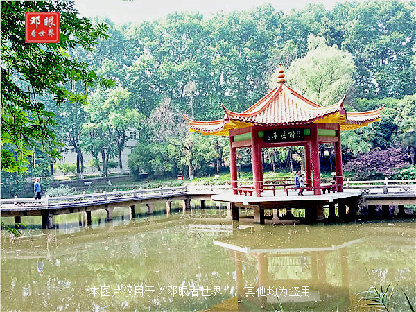 985武汉大学华中科技大学,武汉大学对比浙大