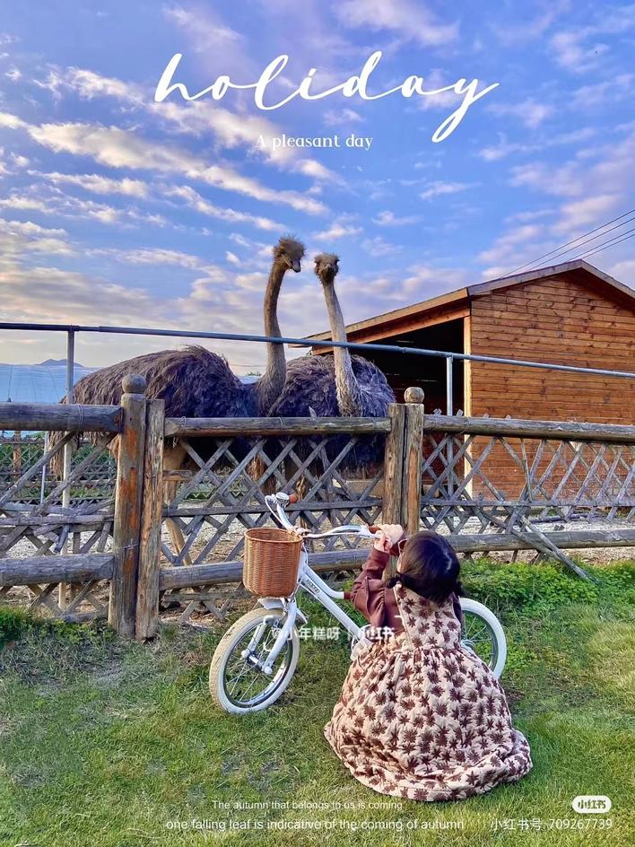 小朋友们儿童节做好的准备,儿童节小朋友们都要打算怎么过