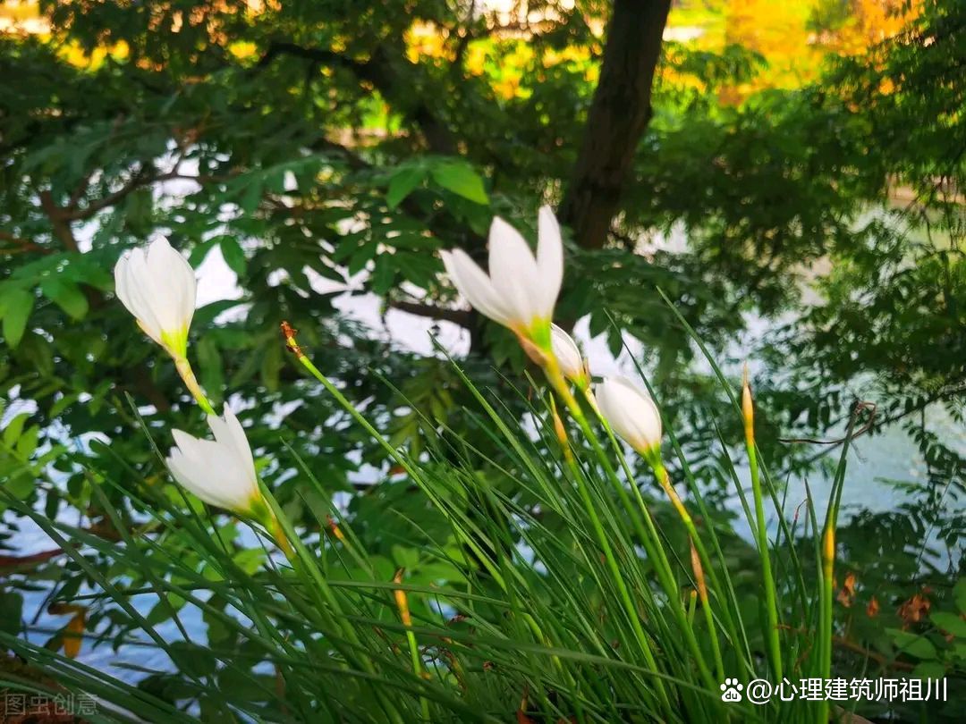我是怎样走出抑郁症的,我是如何走出抑郁的刘聪