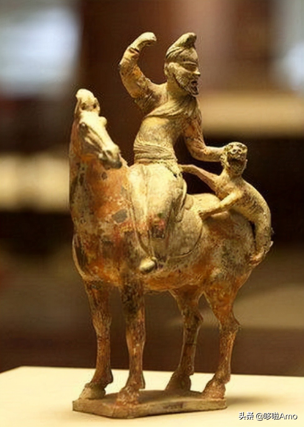 金钱豹动物科普介绍,金钱豹科普