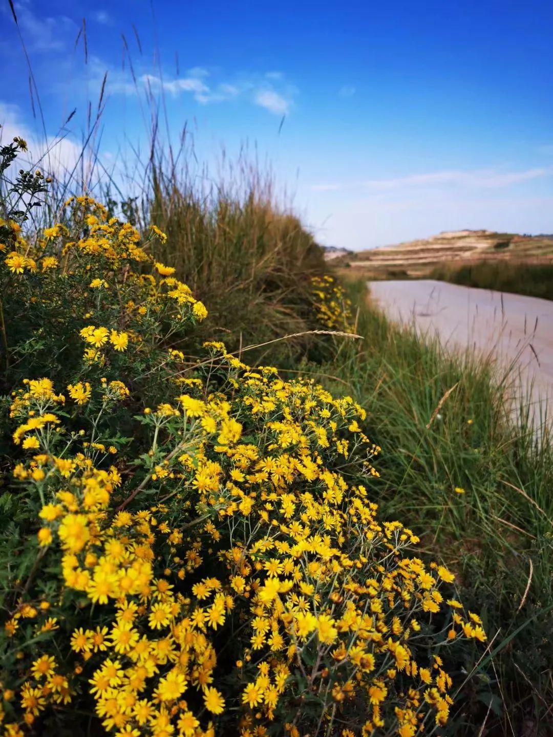 深秋等你到来,深秋等你来