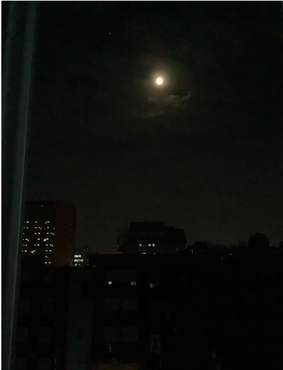 人为什么喜欢怀念从前,人为啥总喜欢怀念过去