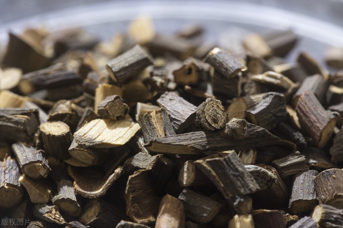 有点静脉曲张在家怎么改善呢,静脉曲张很丑怎么办