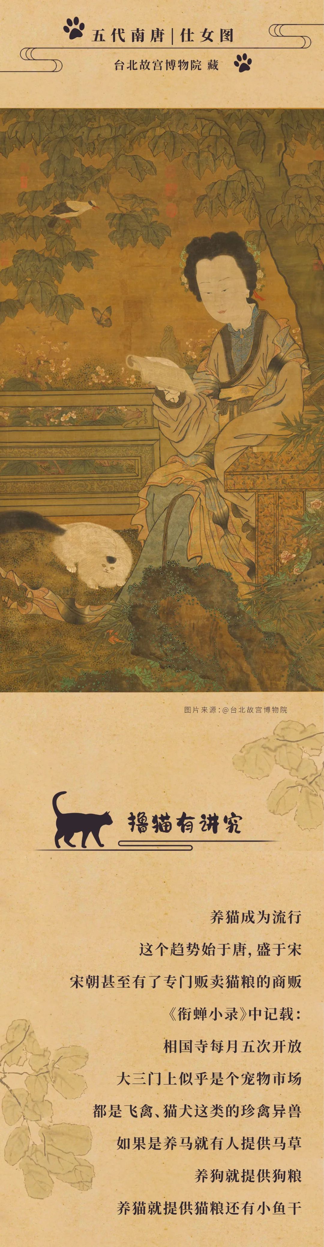 猫奴真实身份揭秘,猫奴的真实历史