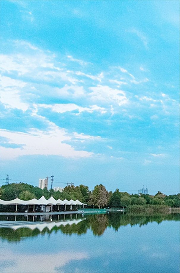 【我喜欢的小动物】王淑迪《我的动物朋友——小仓鼠》（三十六）