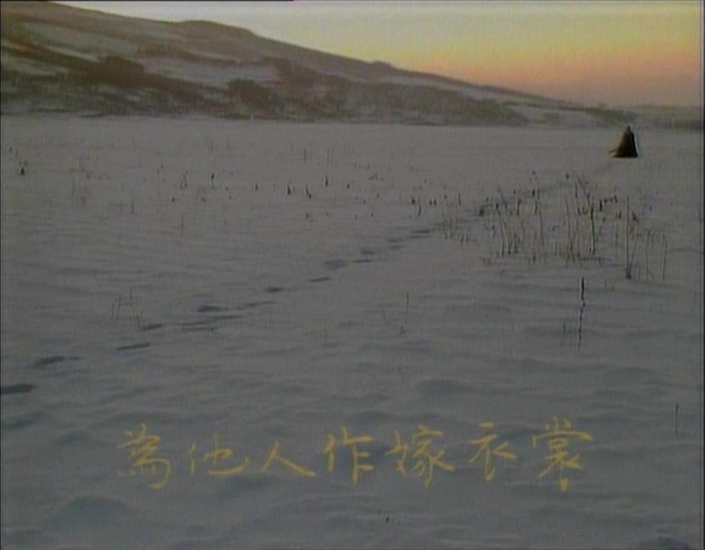 新红楼梦贾宝玉通灵,新红楼梦贾宝玉找林黛玉