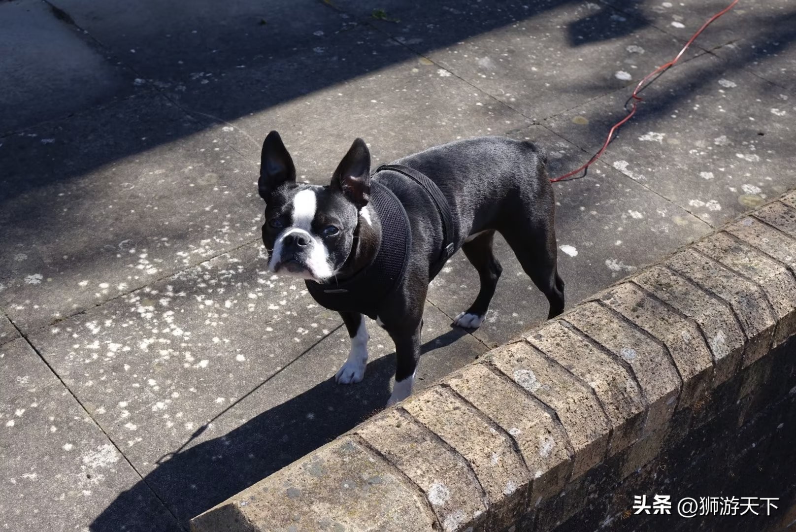 英国本科陪读,英国陪读住宿