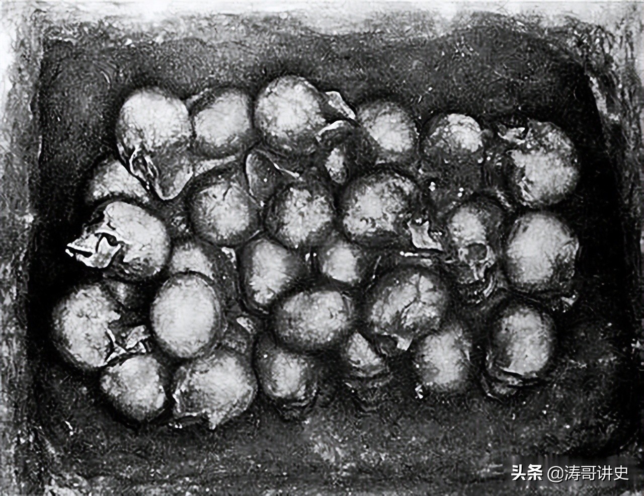 殷墟发现白人遗骨,殷墟遗址出土白人头骨