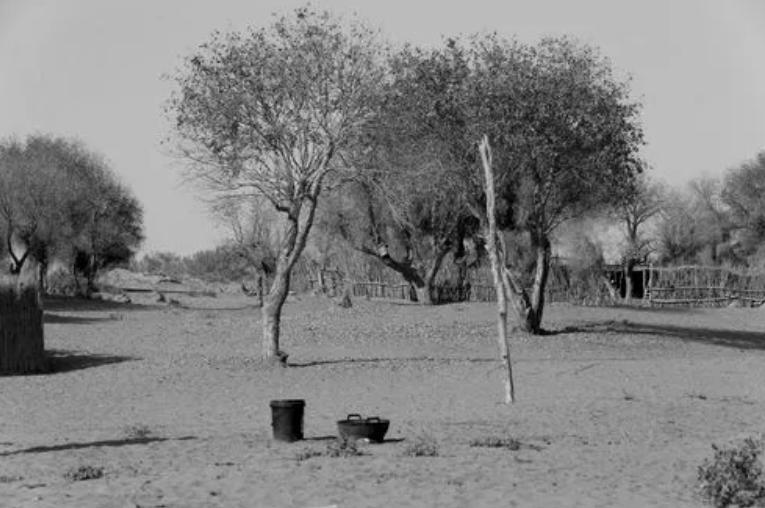 中国第一大村落的位置,中国广东最大自然村