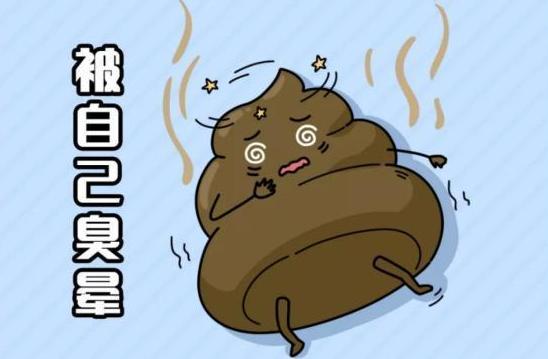 拉屎太臭是什么原因怎么调理,吃香的喝辣的怎么解释