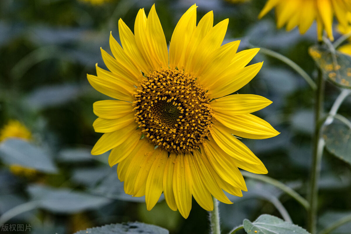 一个女人过得好不好都看这几点,一个女人最好状态就是打扮