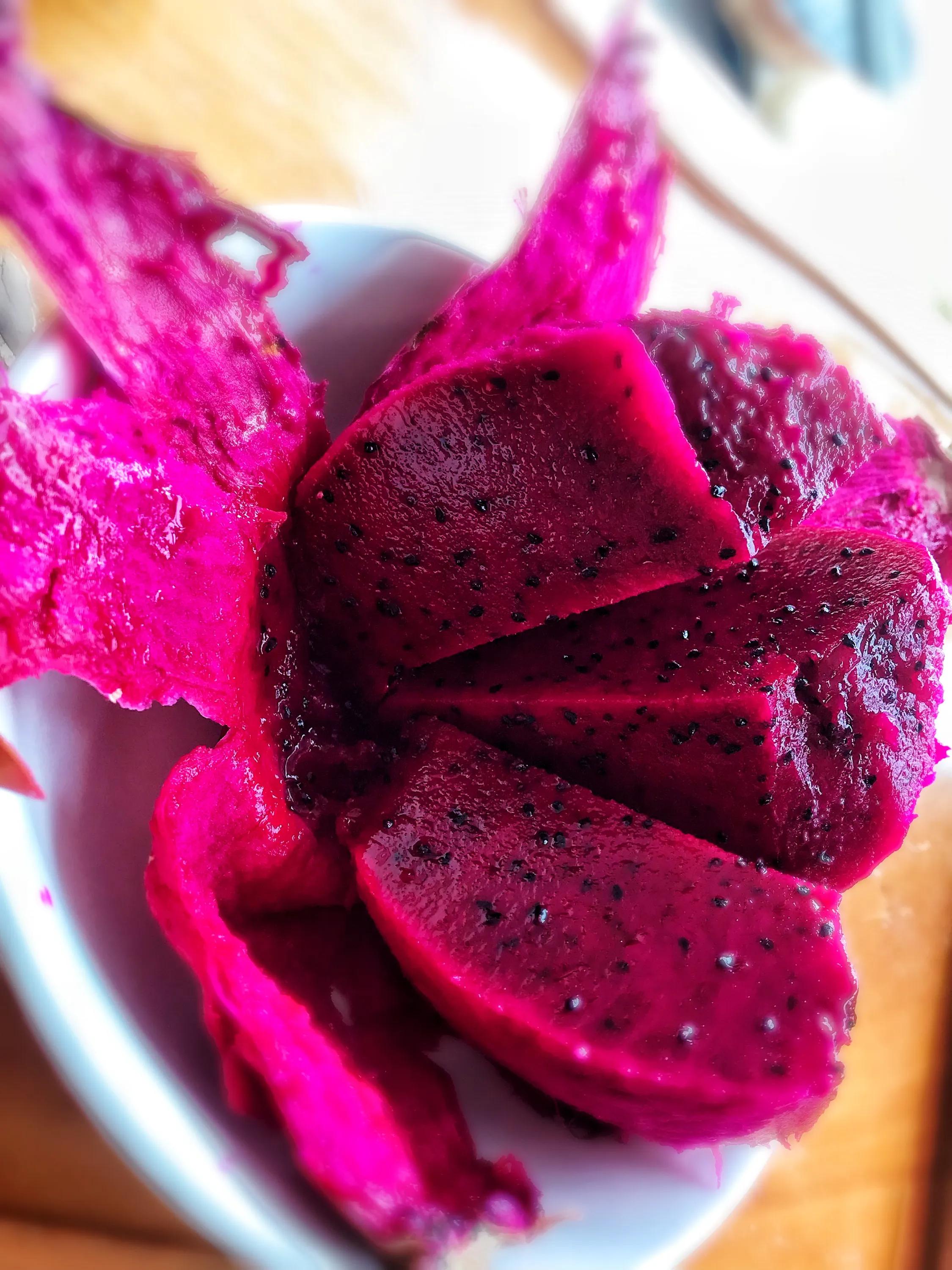 阳台火龙果怎样长出果来,阳台种火龙果的方法