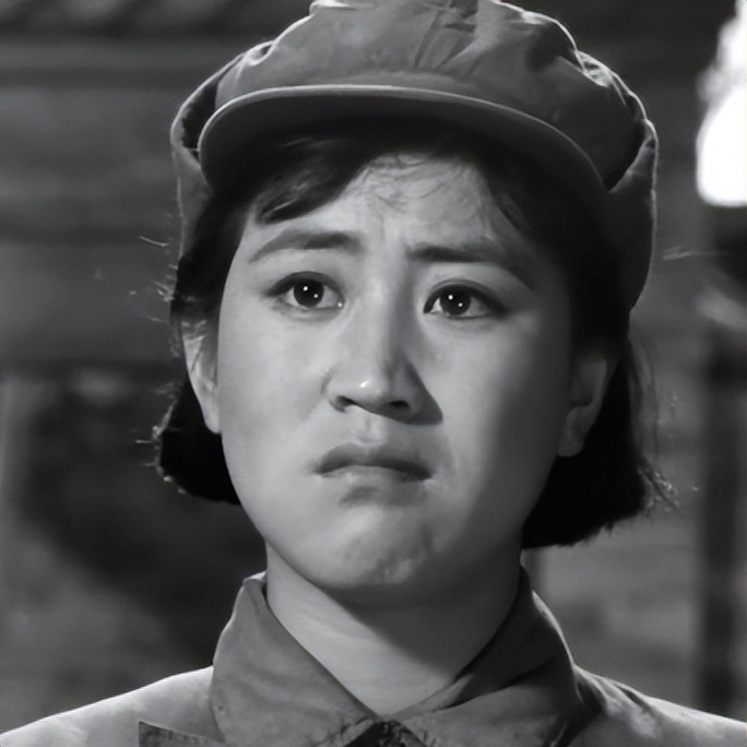 关于革命的小说红日简介,长篇小说红日沈振新的原型是谁