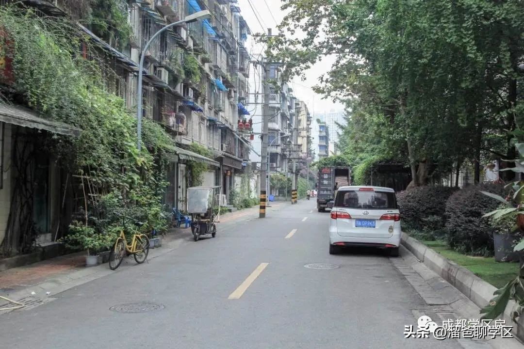 一校三区→一校五区？从不设分校的“金花学校”要爆发？