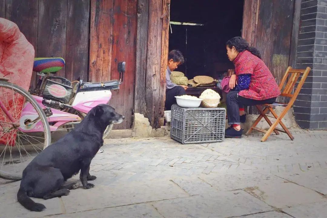 南阳古镇景点大全,南阳古镇风景