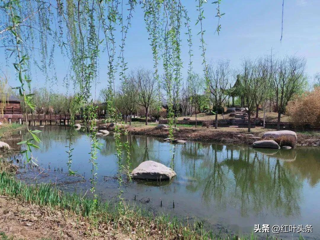 咏张学良,咏北戴河的诗词