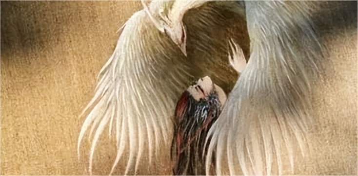 山海经中的两面国,山海经中的中原地区