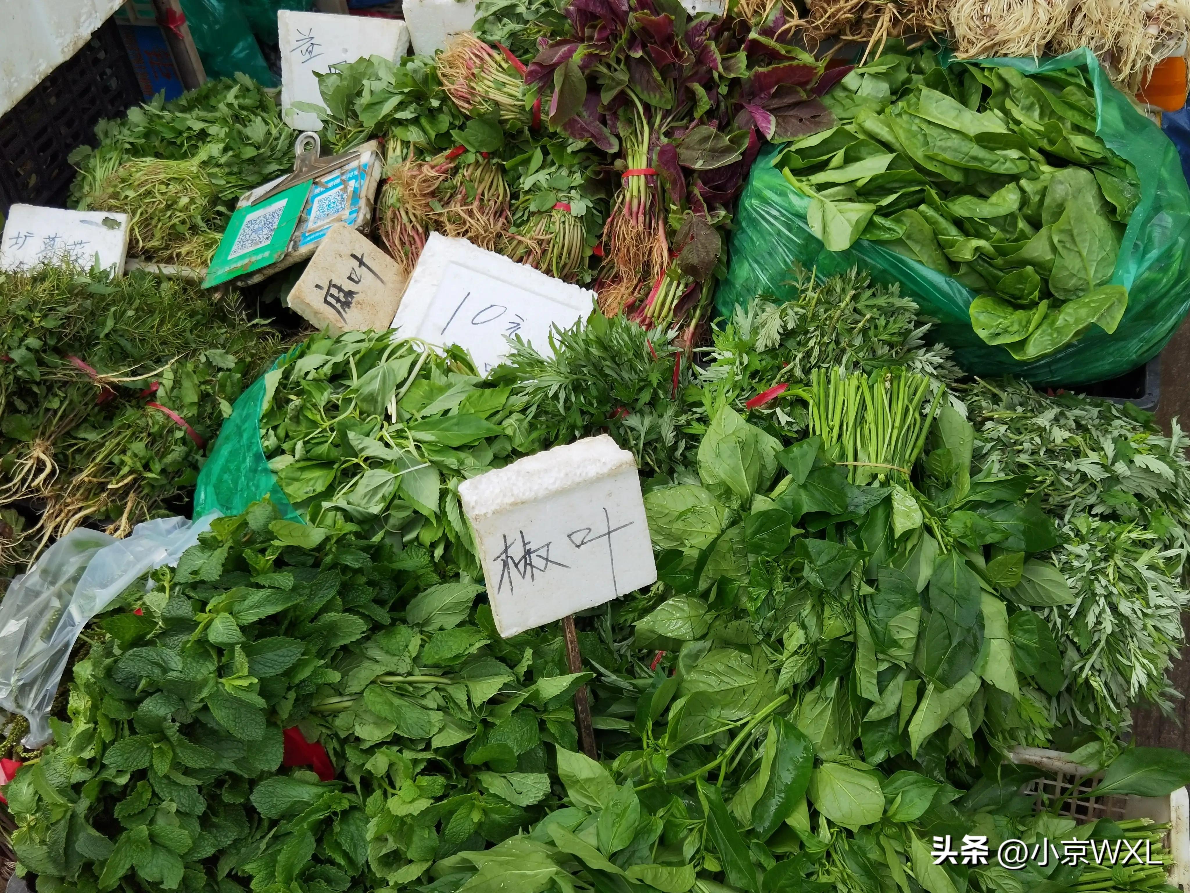 沙园市场在哪里,沙园市场最新动态