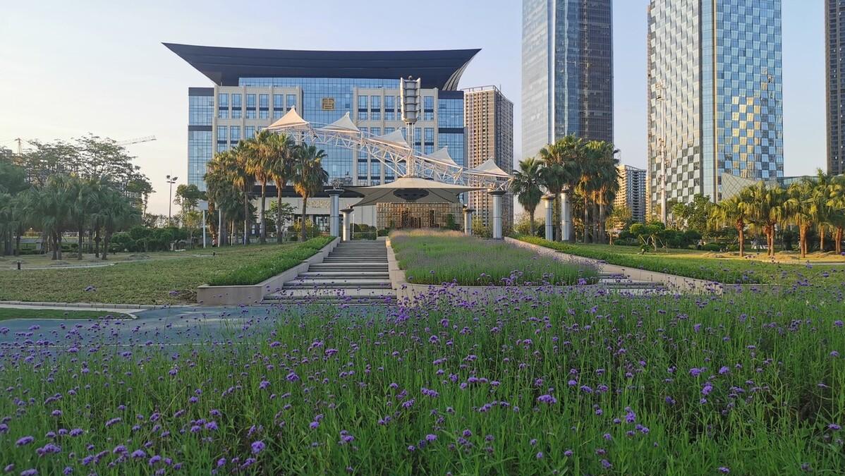 白手起家卖水果,白手起家卖豪车