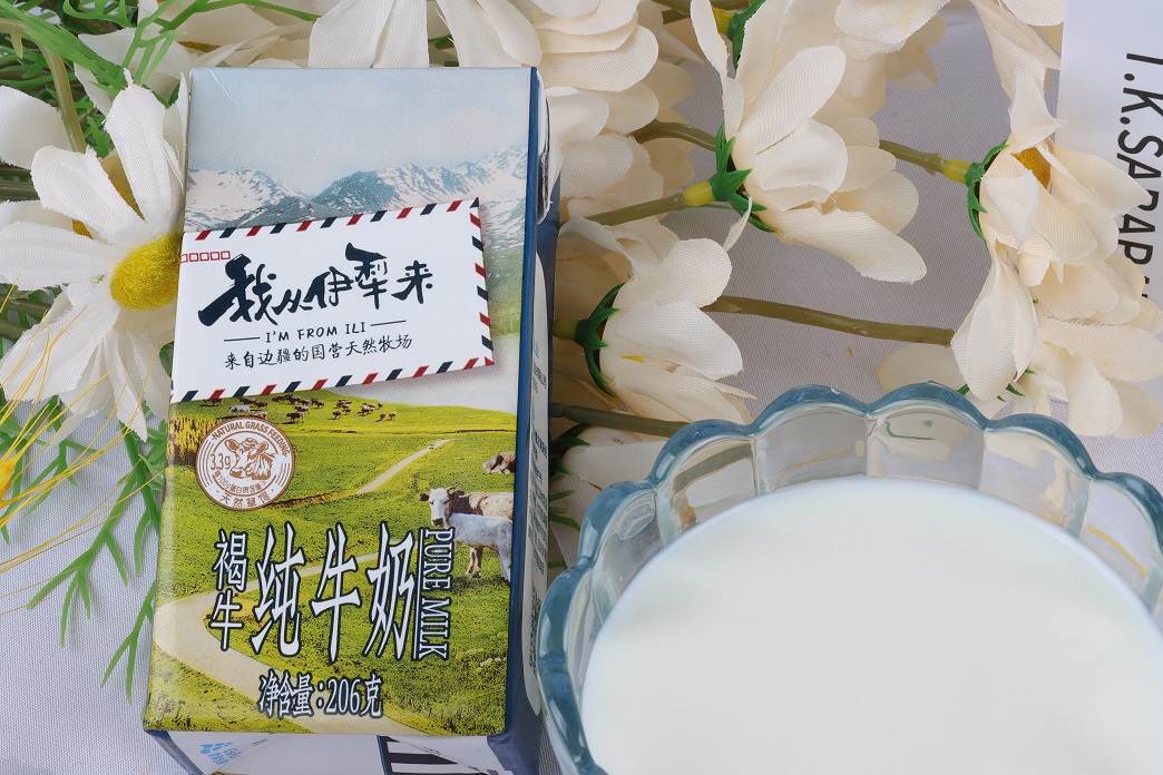 伊犁褐牛配西门塔尔牛怎么样,新疆褐牛奶与其他奶区别