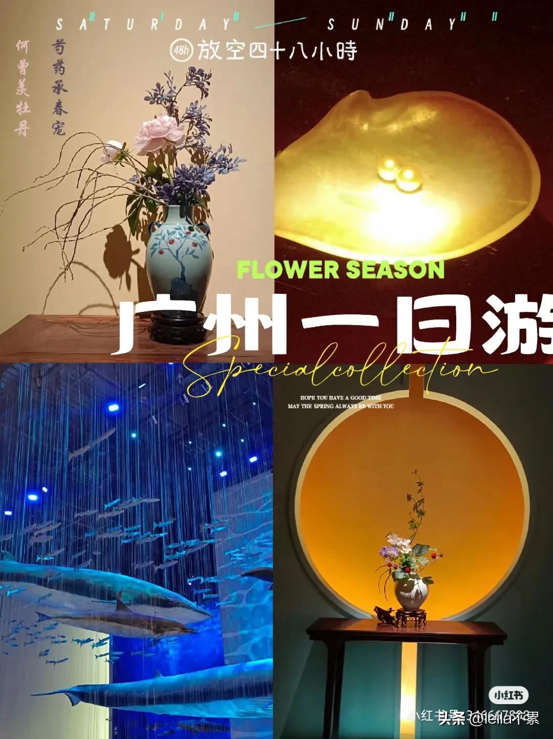 广州附近一日游旅行,广州一日游旅行社最佳路线