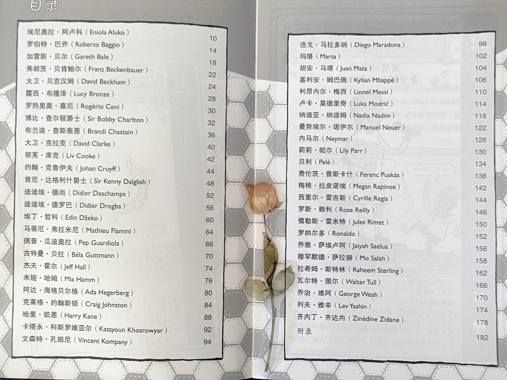 足球名人故事励志故事,足球明星故事50字