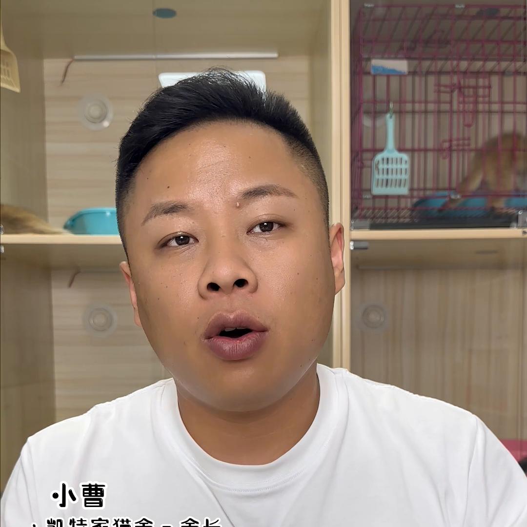 聊一下质保#西安宠物#西安凯特家猫舍#vlog日常