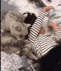 涔濅釜鍔ㄤ綔濮垮娍鎽嗘媿,涔濅釜鎵嬪娍鍔ㄤ綔