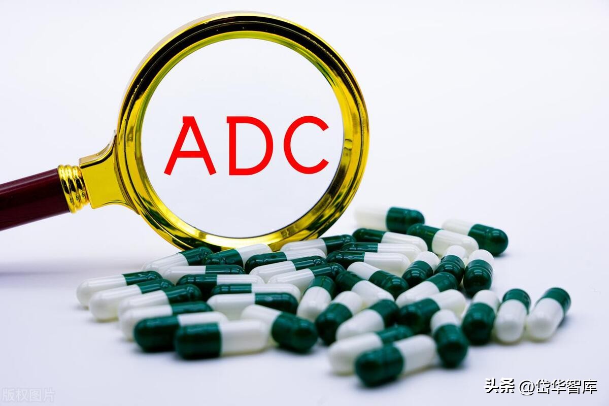 有效避开内卷，迈威生物：ADC锋芒初显，快速成长的Biopharma