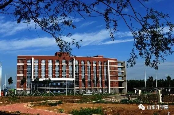 山东高考志愿填报最好专业,山东高考志愿填报专业及录取