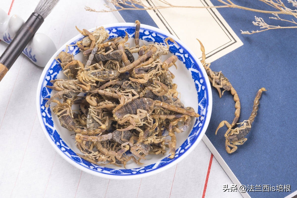 广州海关截获11箱588只蛇蛙蜥蜴,广州海关截获蟑螂200只