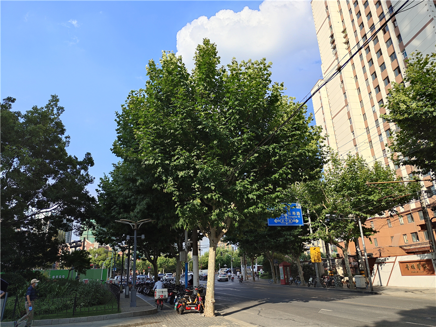 真我gt2大师探索版小白评测,真我gt2大师探索版测评优缺点