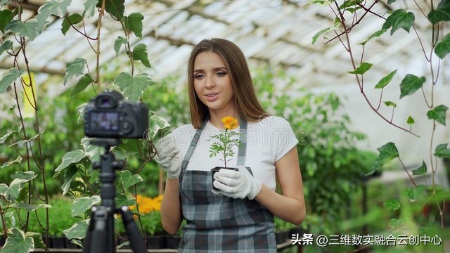 农业发展重点突破,农业创新发展模式