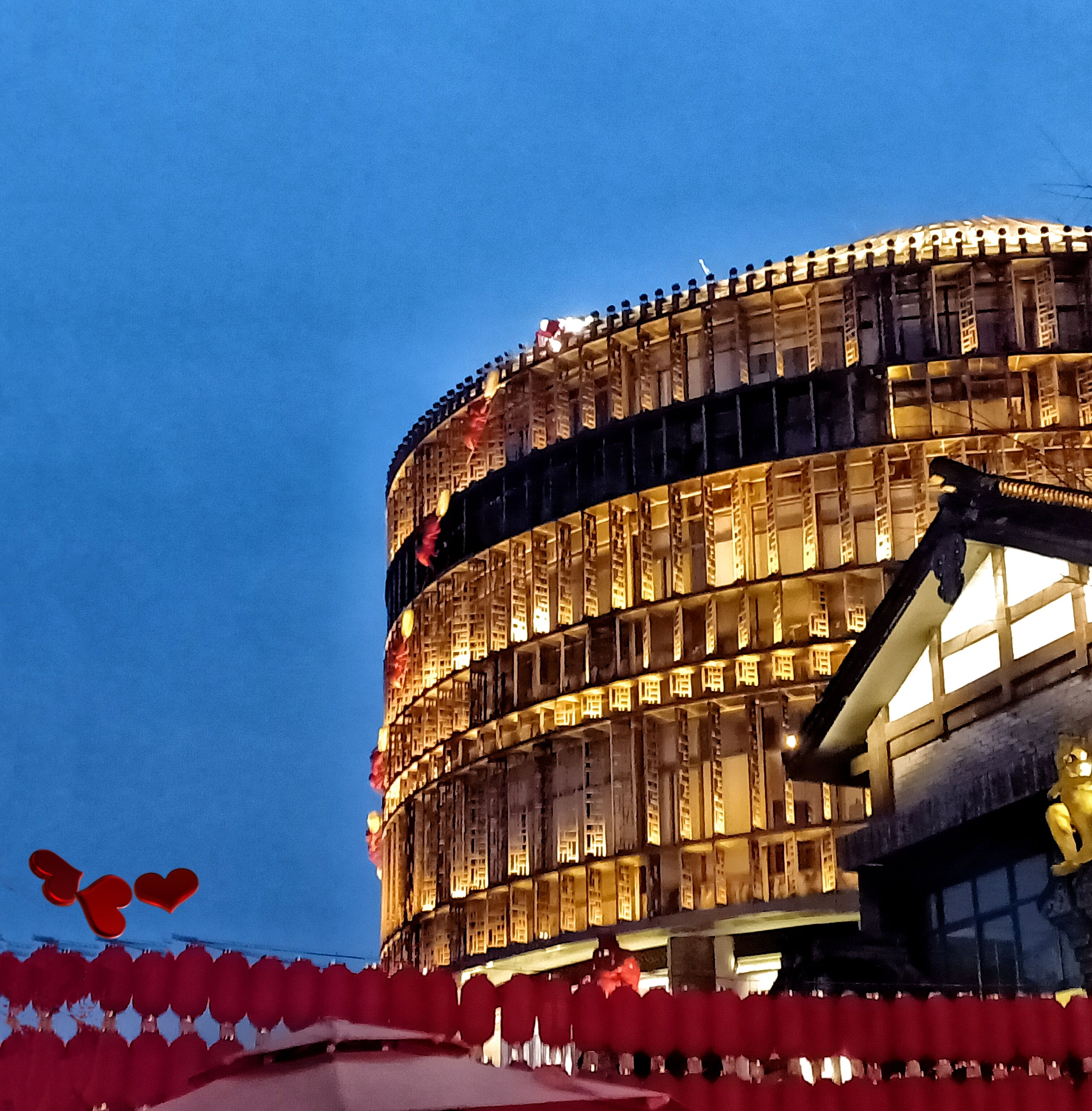 金鸡菊花海旅游攻略,金鸡菊花海美景