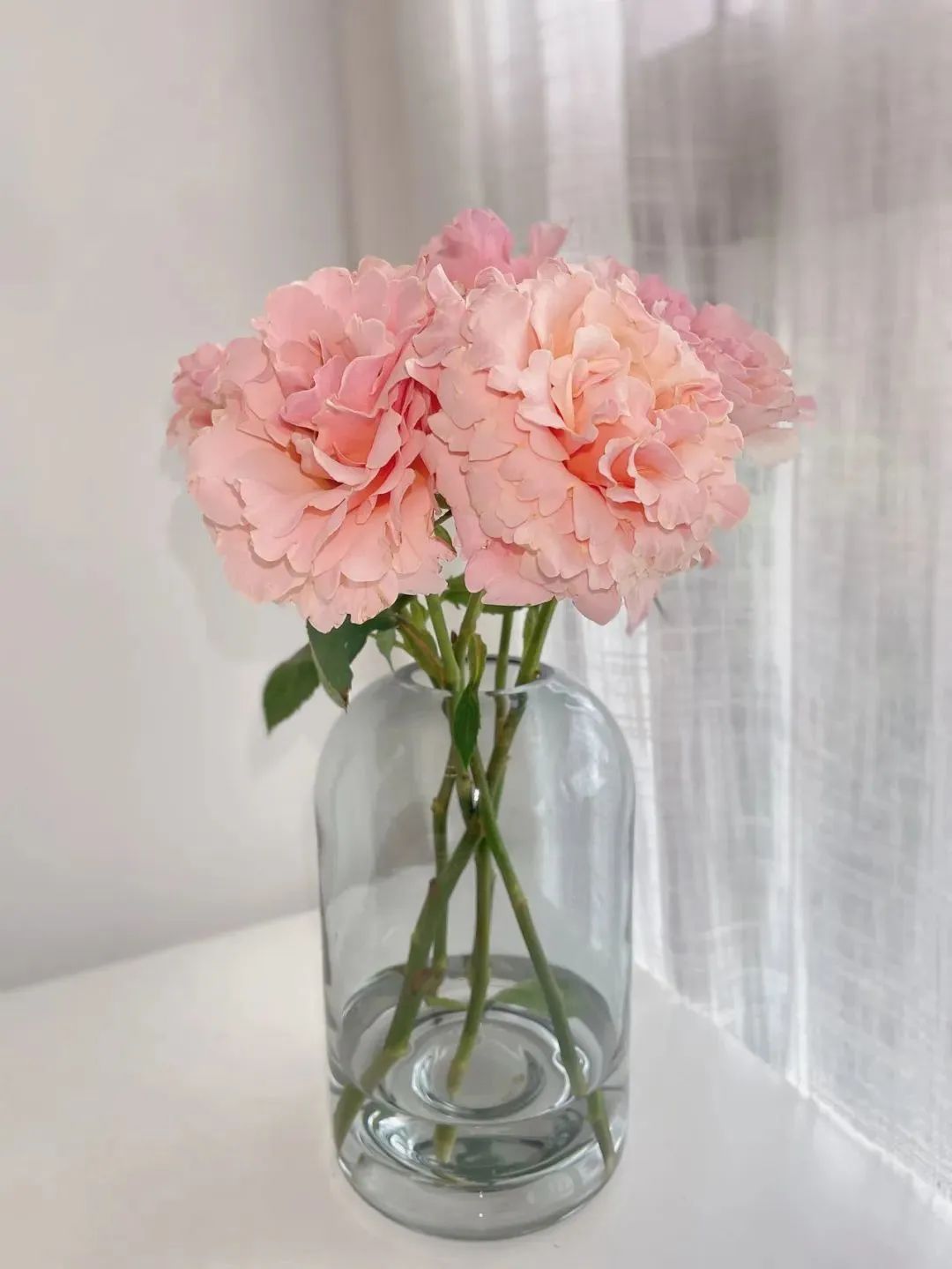 新手必看鲜花养护攻略,鲜花在水里能养几天会死