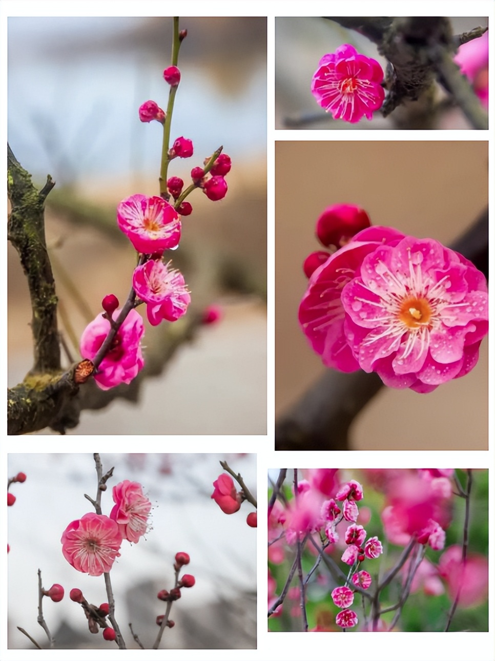 嘿好久不见剧本评测,嘿好久不见歌词