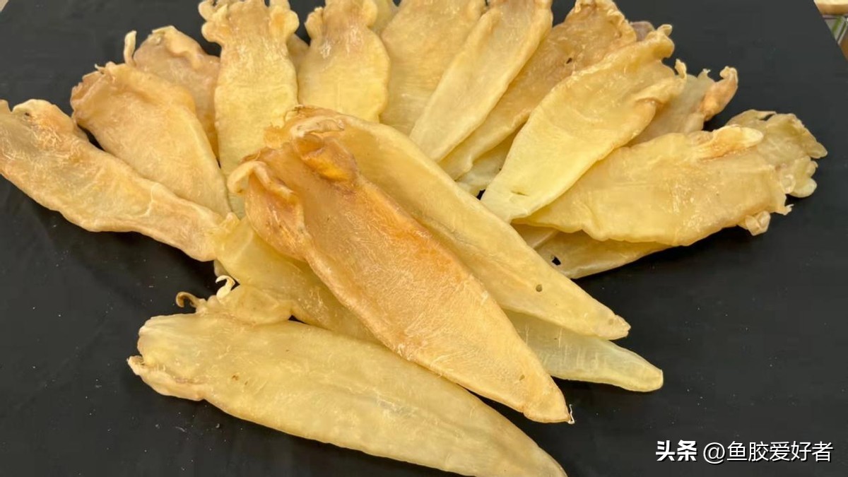 小价位的鱼胶哪些值得买,鱼胶哪一款比较好