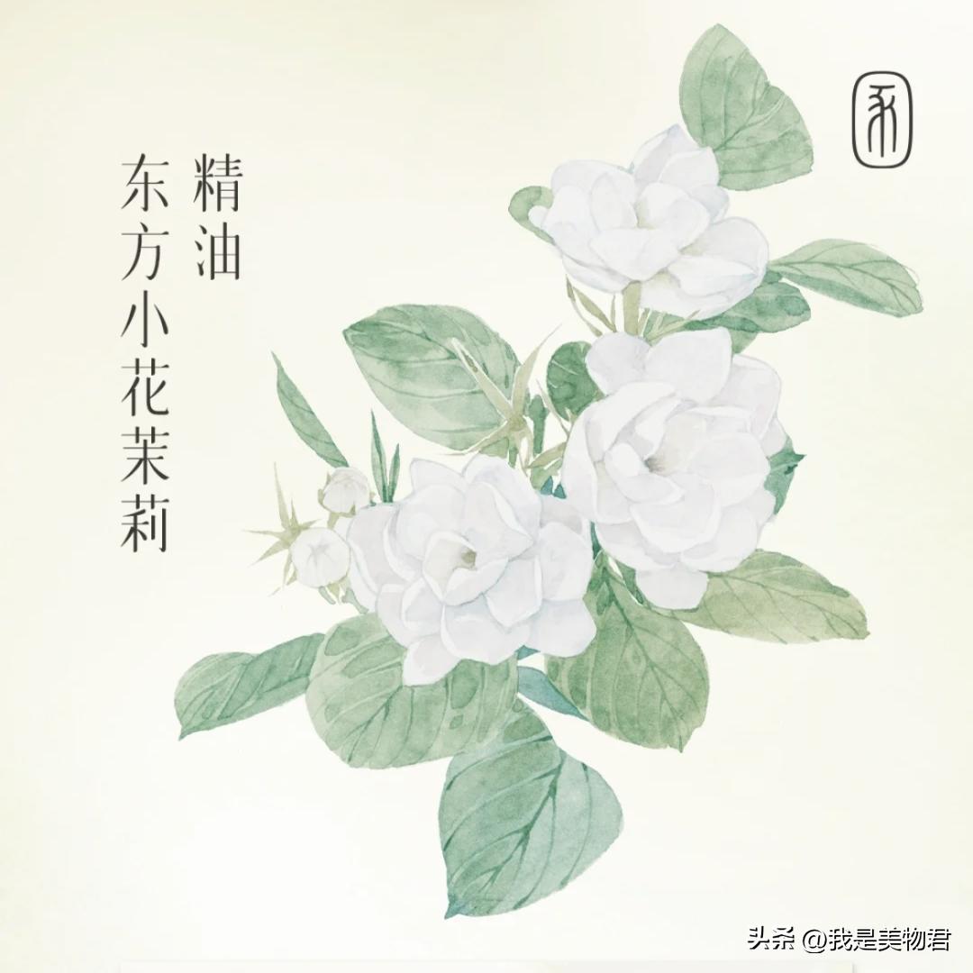 夏天敷补水保湿面膜,敷个面膜补补水分