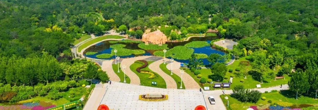 “路”人皆知“坛”花常见！泰达这些精品道路、花坛等你来打卡！