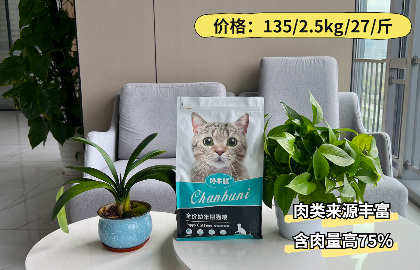 缅因猫养公的还是母的好,养一只缅因猫一个月要多少钱