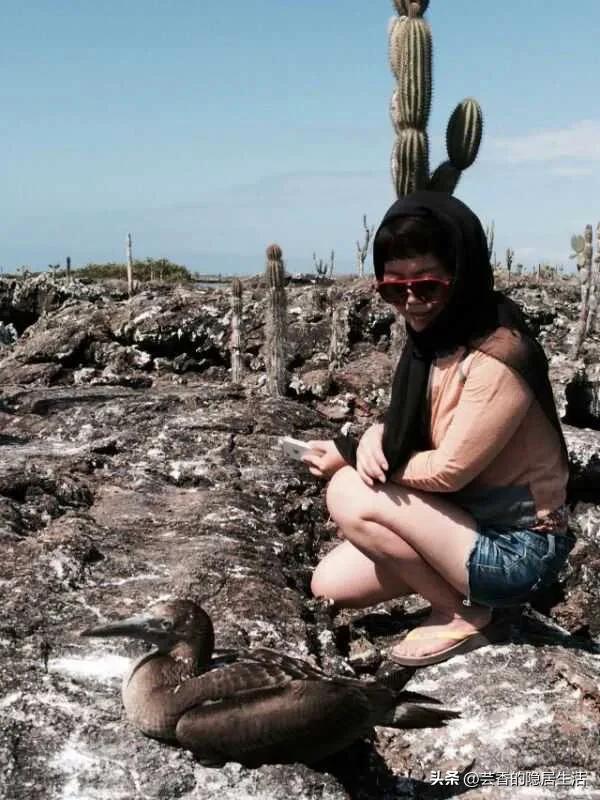 厄瓜多尔国家治安好吗,厄瓜多尔基多富人区