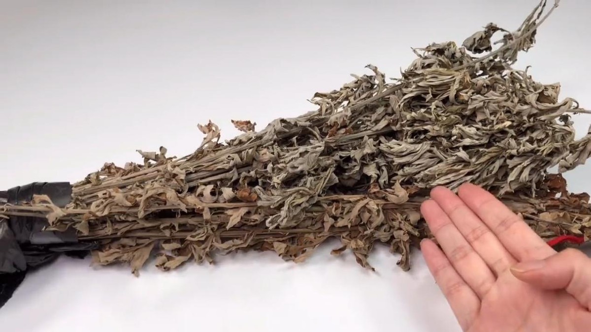 家里有灭蚊子最有效的方法,教你一招轻松解决蚊子