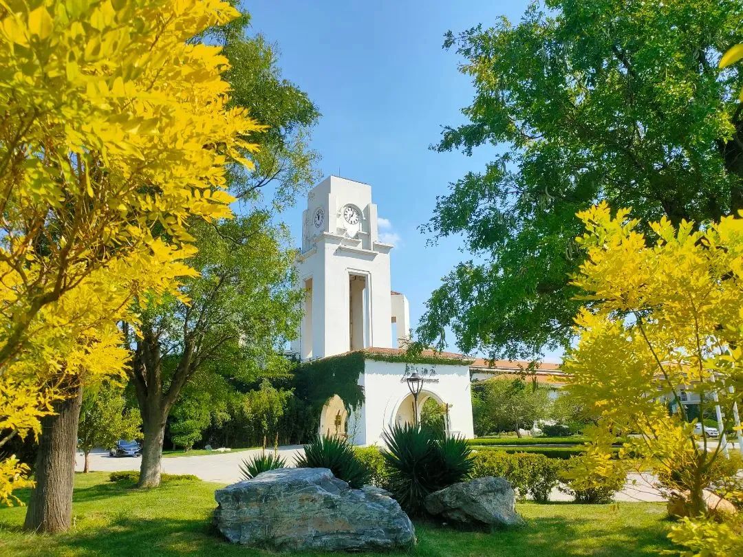 让世界微醺！沿着北纬37度黄金海岸，邂逅东方“波尔多”！