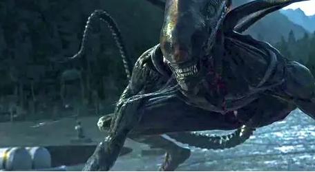 如何评价契约论,吐槽异形契约