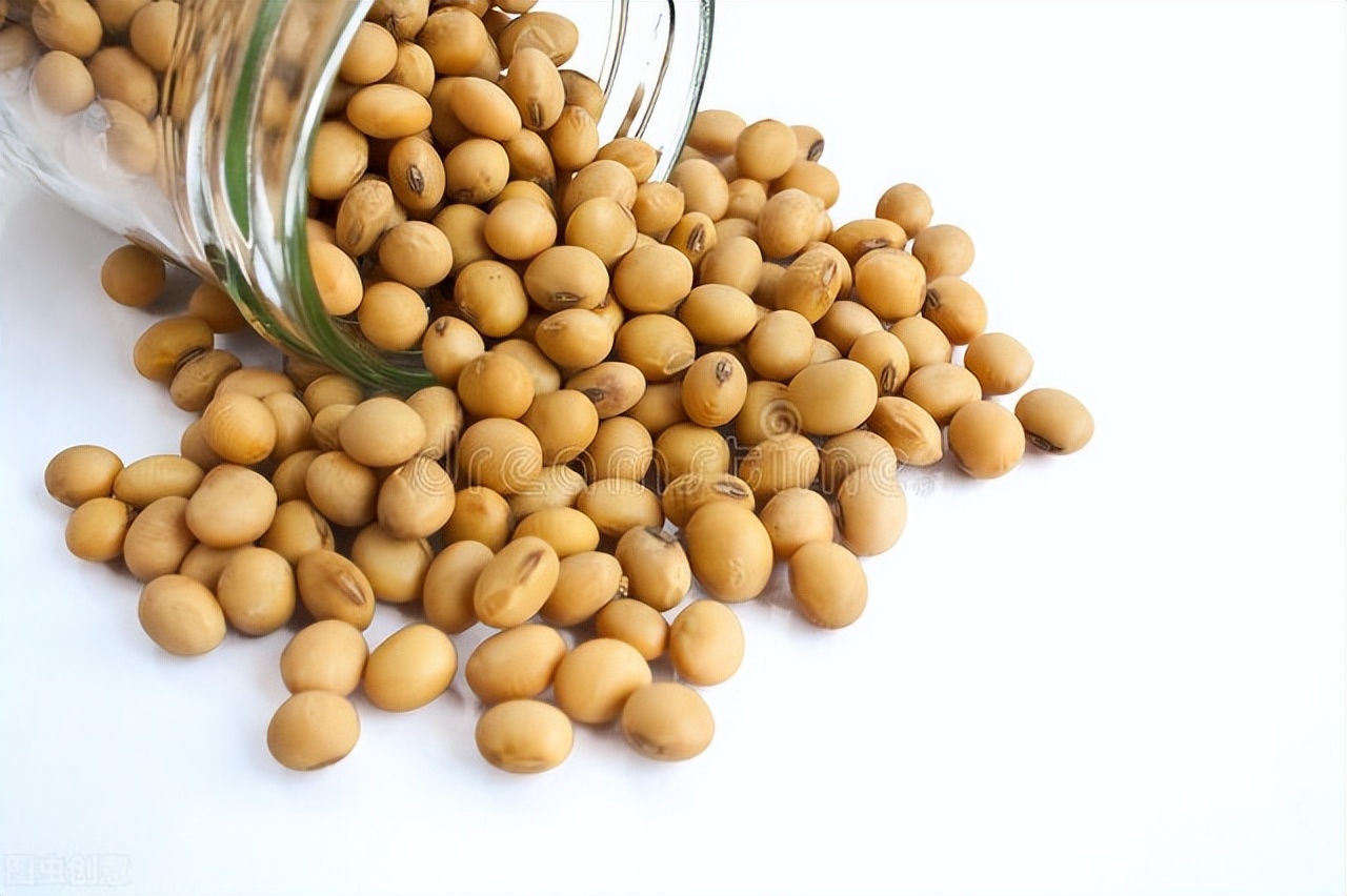 大豆油橄榄油花生油菜籽油优缺点,花生油菜籽油调和油大豆油的区别