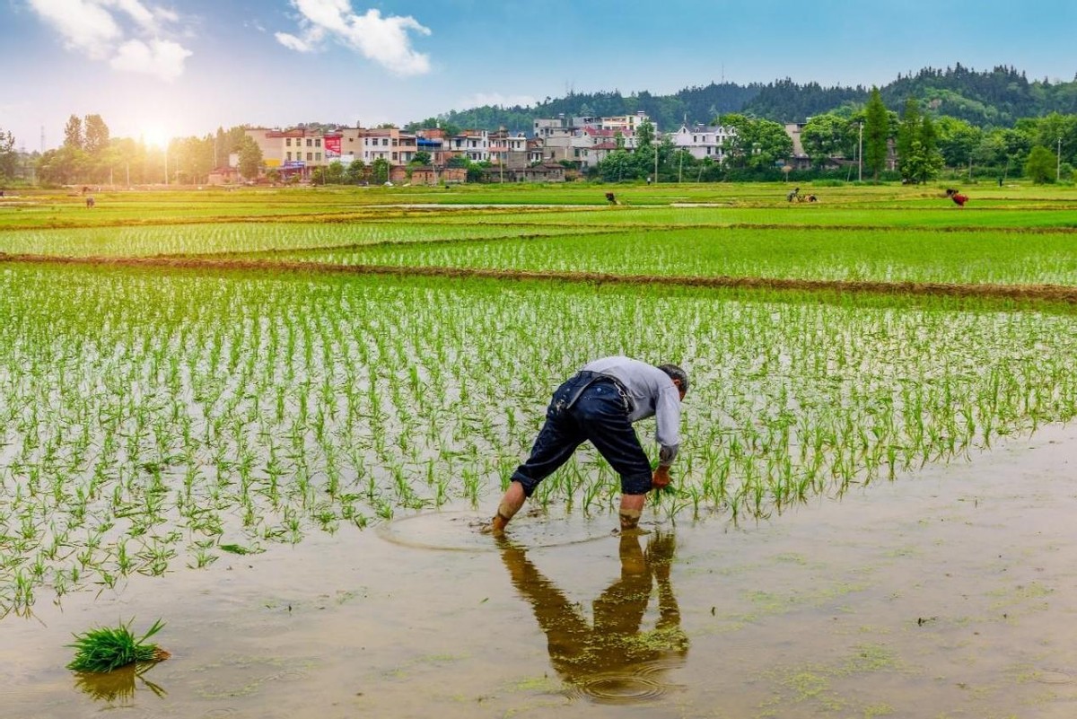 古人最初是用什么确定二十四节气,汉代二十四节气形成没