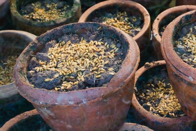 湖南你不知道的小知识,湖南十大冷知识排行