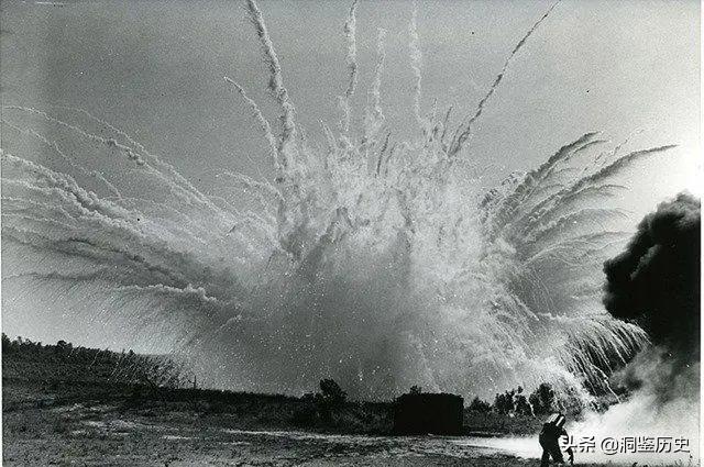 安徽痴呆老人嘟囔奇怪数字，儿女听后求助政府：查查27、81、241