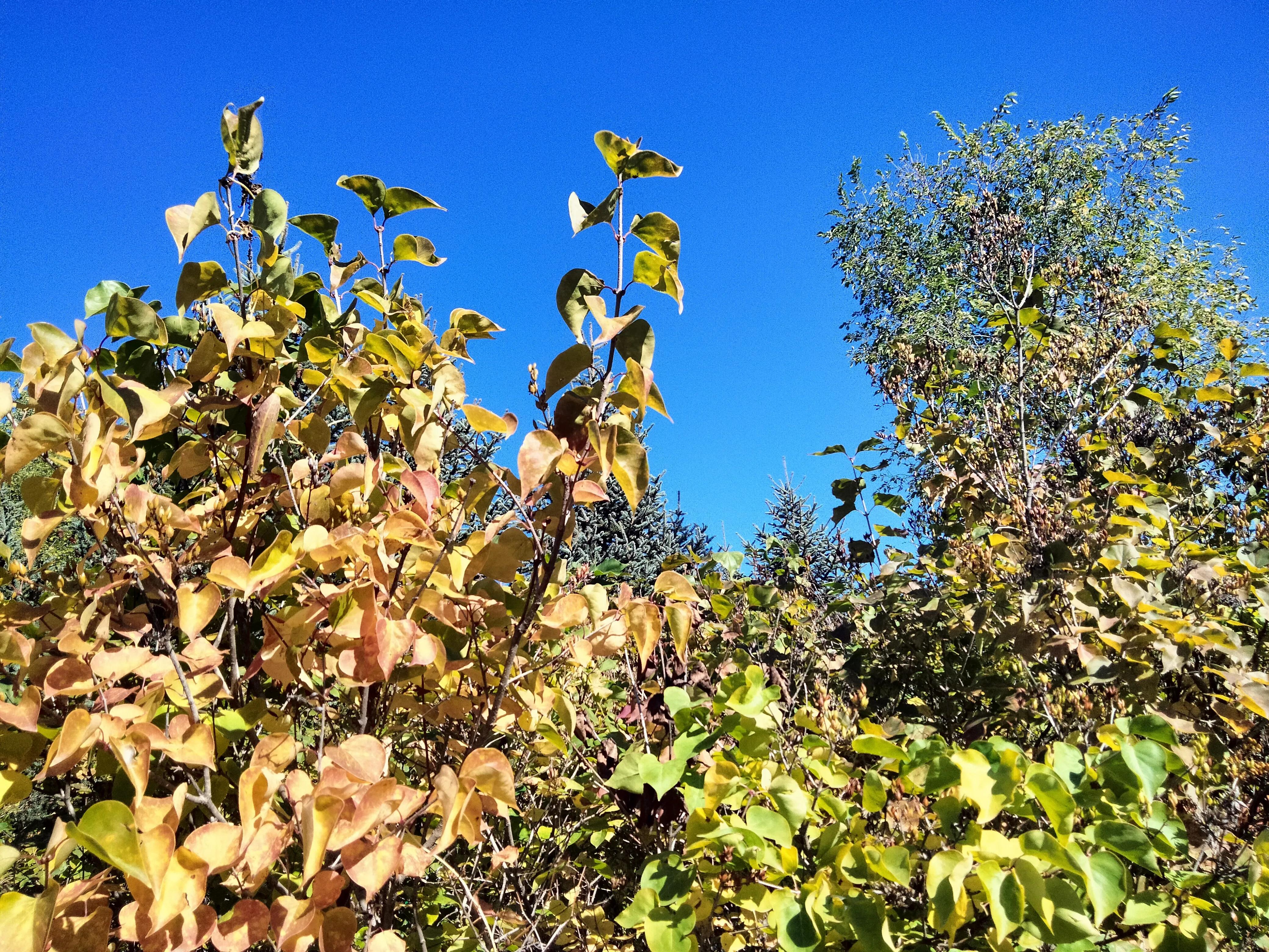 亲友群名片背景,家庭群名片
